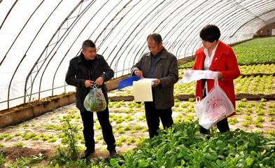 定西市安定区蔬菜种植区接受安全抽样检测