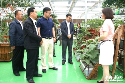 天水市委常委、宣传部部长王正茂参观武山菜博会(图)--天水在线