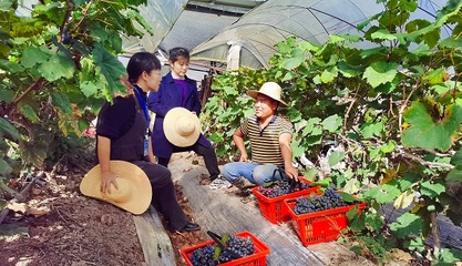 镜头 | 新春走基层 访民情解民忧