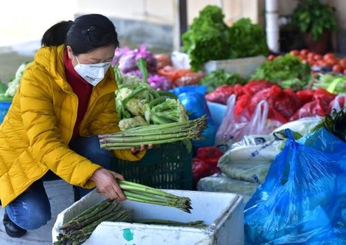 早上生长在深山里的蔬菜 下午端上居家隔离户餐桌 武义启动食材同城配送 直通车