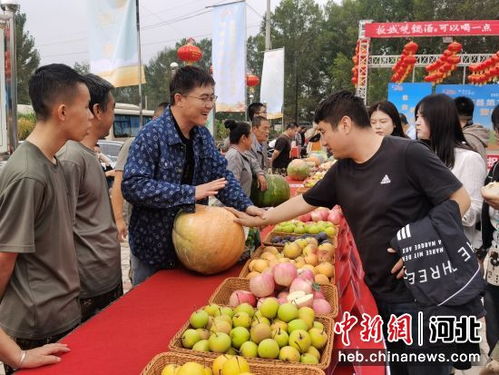 承德县第二届乡村文化旅游节开幕